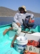 Baja Fishing Charters - Fishermen's Fleet:   Panga: Photo courtesy of the Fishermen's Fleet.  SportfishWorld © Bob Fisher