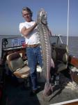 USA|California|San Francisco Bay Area|Suisun-Delta|Bob's first Sturgeon in the USA weighed 65lbs and measured 65 inches. It was caught on a ghost shrimp/grass shrimp combo on the outgoing tide at the Mothball Fleet....Copyright SportfishWorld © Bob Fisher