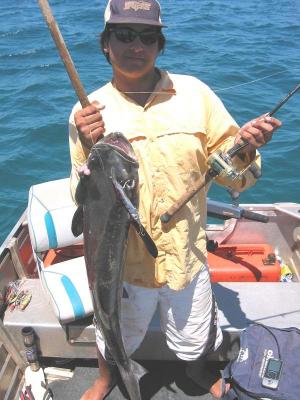 Dampier Small Boat Lure Fishing for Cobia