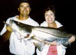 USA|Florida|Gulf of Mexico|Florida|This mammoth snook was caught and released by my mom, Tessie Wallace of Bradenton, Florida in 1988. The snook bottomed out a 35lb. scale and measured over 50 inches. The fish was caught on a light tackle rod with a Shimano 350 baitrunner. Line weight was 12 lb., freelining pinfish. Capt Brook Wallace, Florida....Copyright SportfishWorld © Bob Fisher