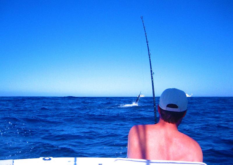 WORLDWIDE SPORTFISHING PHOTOS, Mexico, Black Marlin ,  Black Marlin if I was in the fishing tournament going on that day I would have won over $900,000 u.s www.makemoneyinmexico.com Fishing spot Golden Gate. C Web 